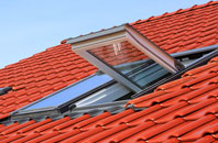 Polmadie roof window